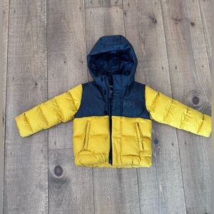 Helly Hansen Kids Vision Puffy Jacket in Arrowwood - Yellow/Black